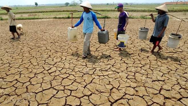 Menghindari Kekeringan Tanpa Solusi