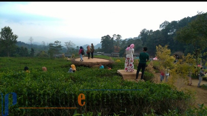 Pembangunan Astro Highlands dan De'Ranch Jangan Ganggu Kawasan Konservasi Alam