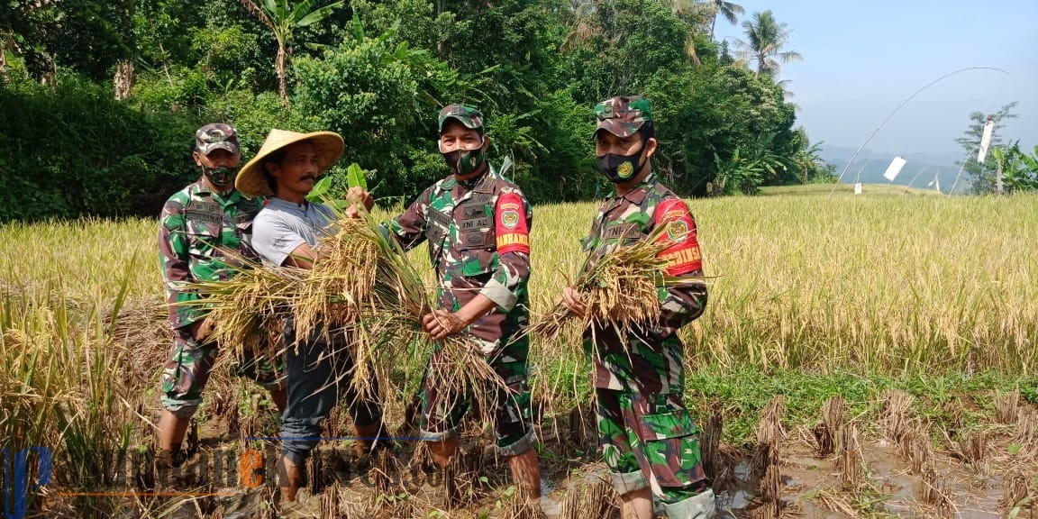 Panen Perdana, Uji Coba BIOS 44 Memuaskan