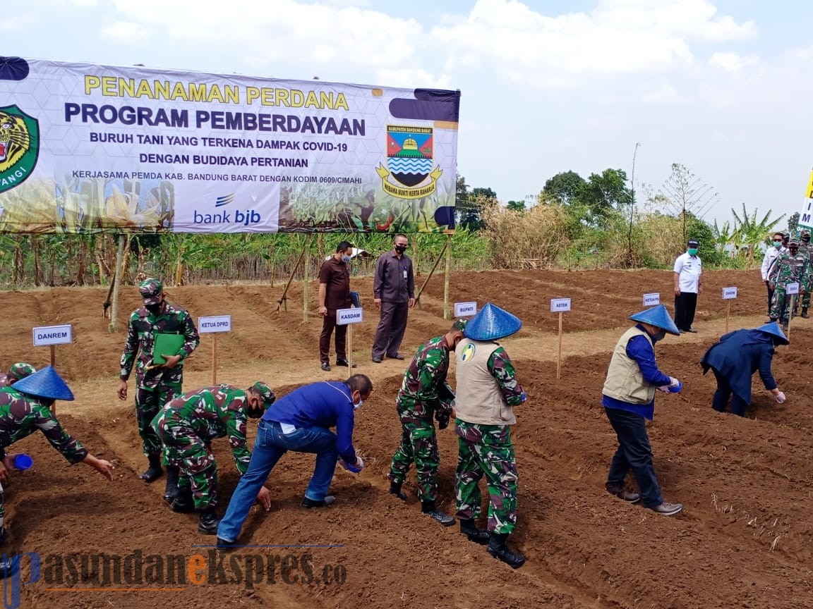 Pemberdayaan di Masa Pendemi, Petani Manfaatkan Lahan Pemda