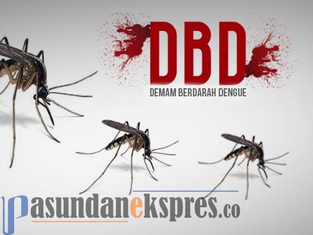 Waspada, Empat Orang Meninggal Dunia Akibat DBD di Subang