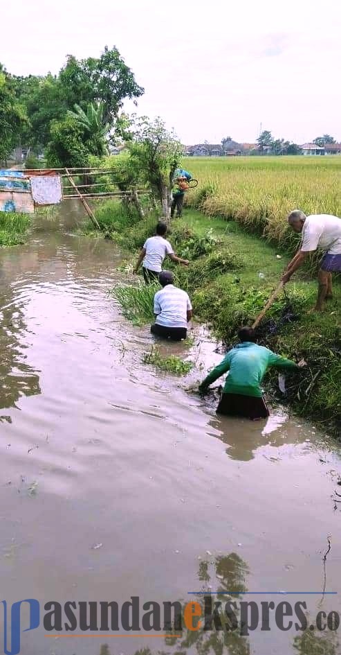 Atasi Sedimentasi, Warga Bongas Normalisasi Saluran Sekunder