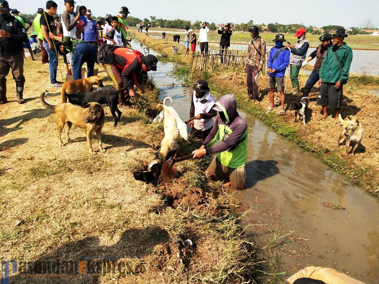 Petani Susah Beli Pupuk, Realisasi Kartu Tani Tak Jelas