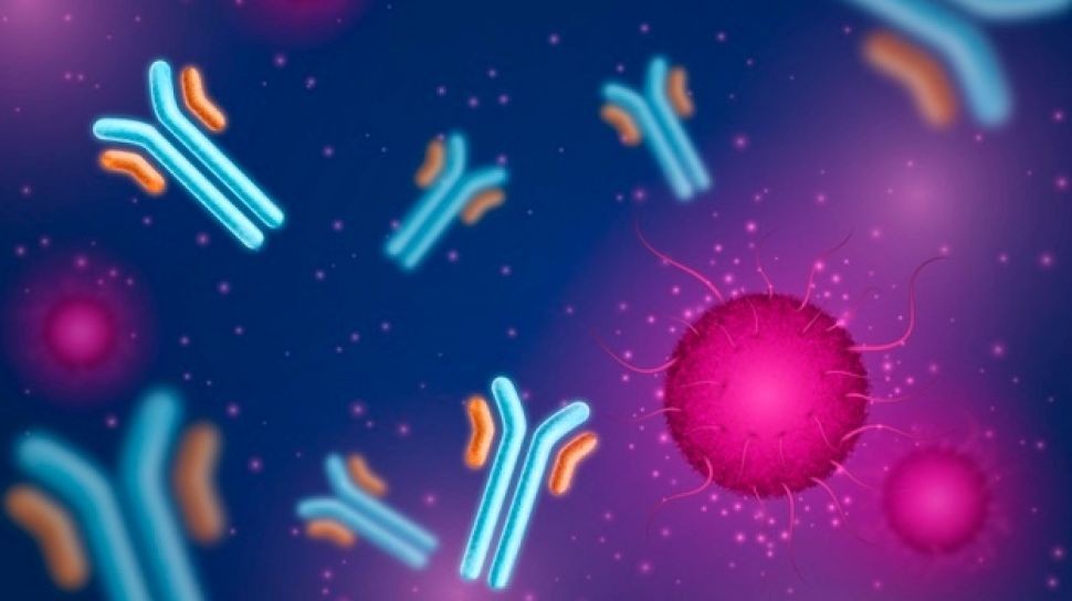 Antibodi Monoklonal untuk Virus Covid-19