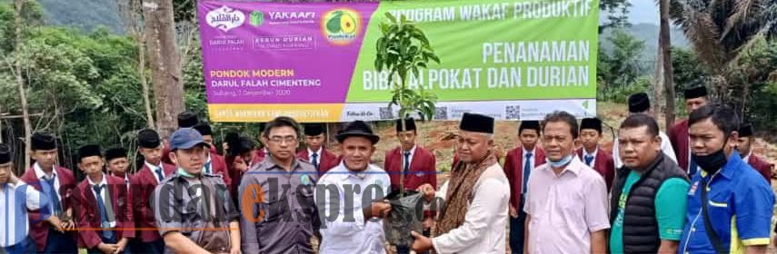 Kemandirian Ekonomi, Pondok Modern Darul Falah Cimenteng Tanam 200 Alpokat dan Durian Musang King