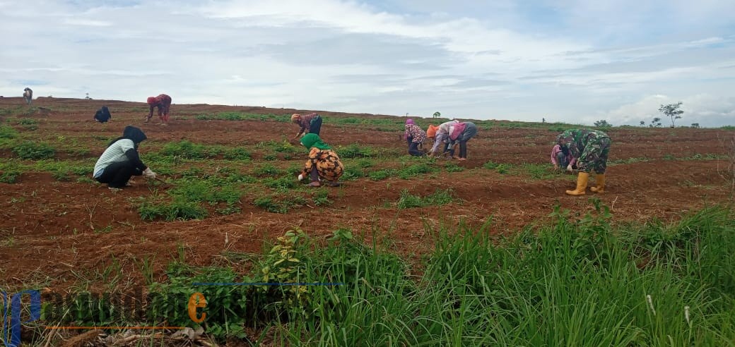 Komitmen dan Konsisten Wujudukan Ketahanan Pangan