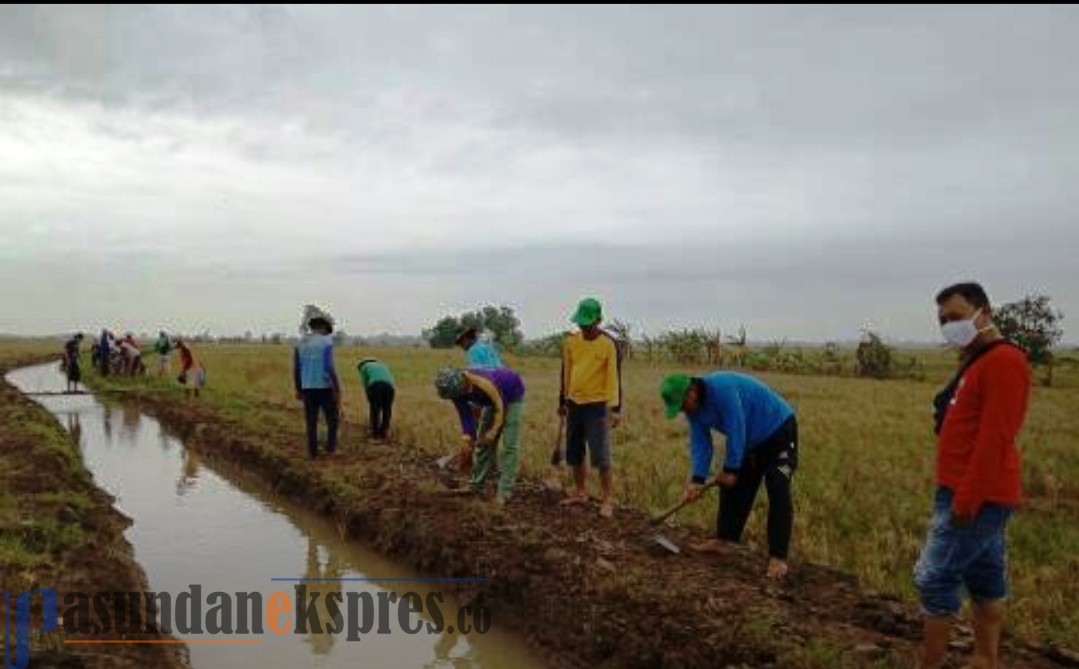 Sambut Tanam, Pemdes Normalisasi Saluran