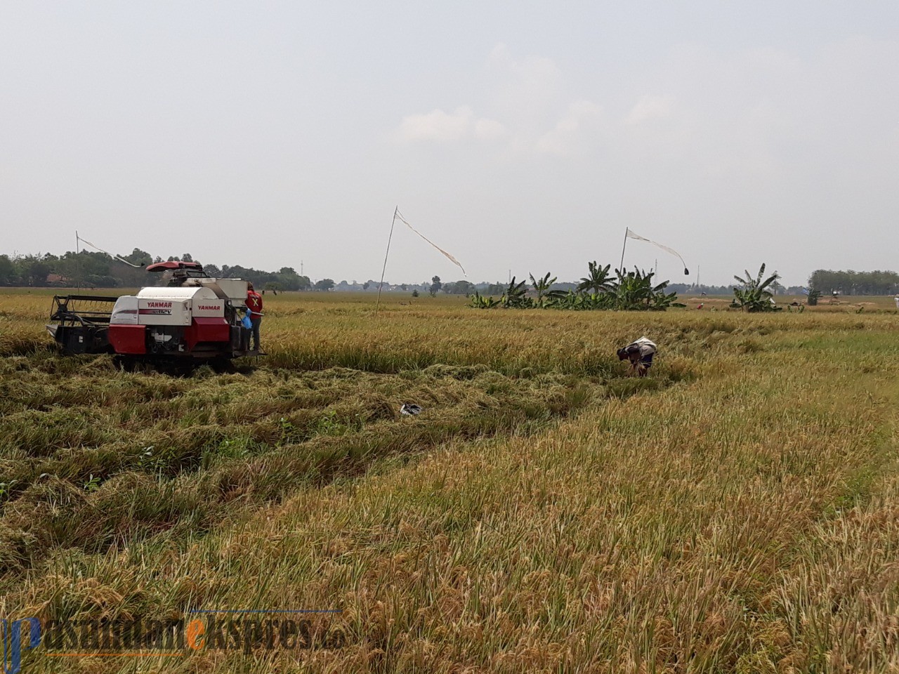 Sektor Pertanian Masih jadi Anak Tiri