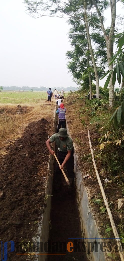 Program Padat Karya Tunai, Pemdes Munjul Normalisasi Saluran Irigasi