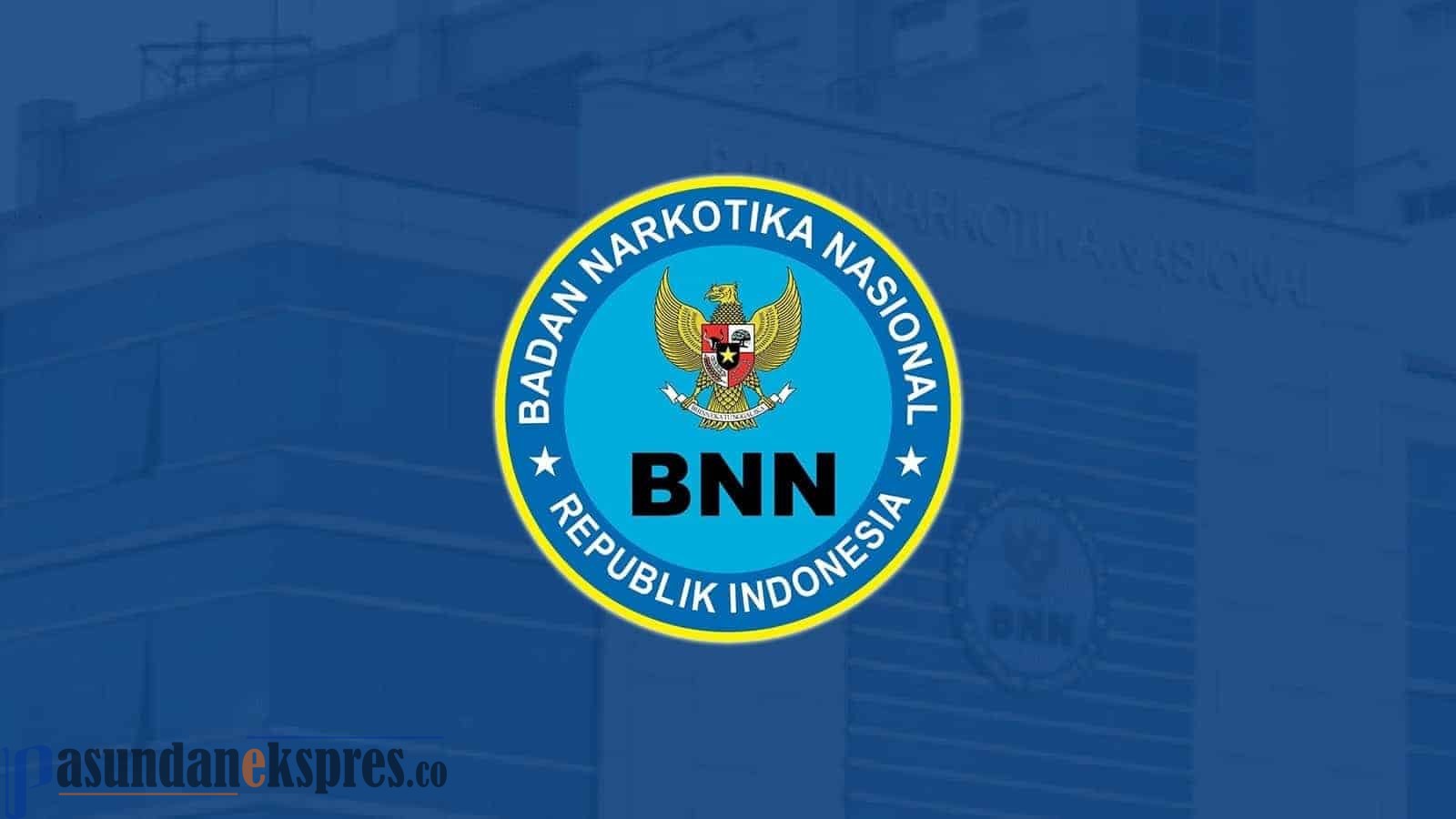 BNN Amankan 33 Penyalahguna Narkoba