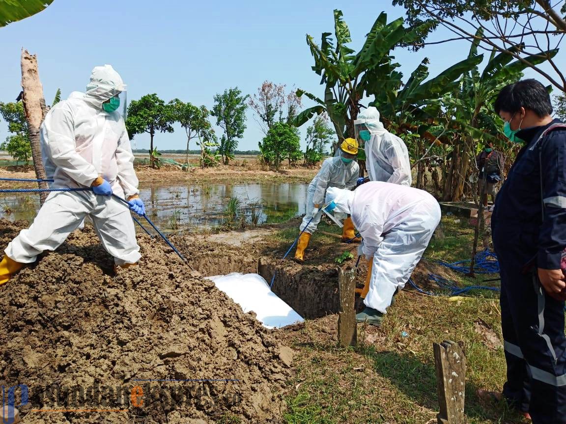 Belajar Tatap Muka Kompak Ditangguhkan, Orang Tua Kecewa