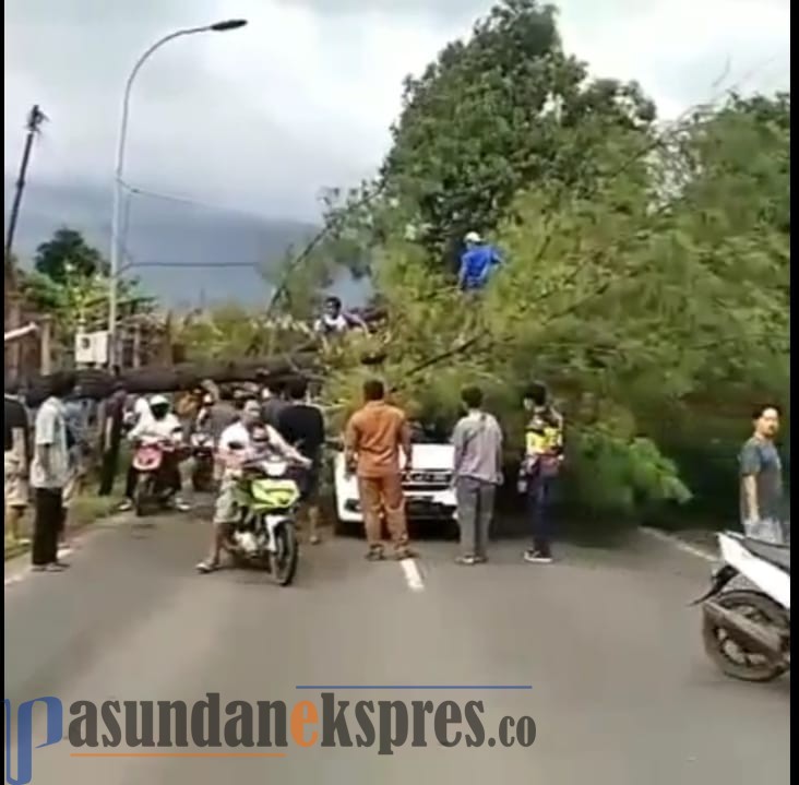 Pohon Tumbang, Kendaraan Menuju Subang Selatan Tersendat