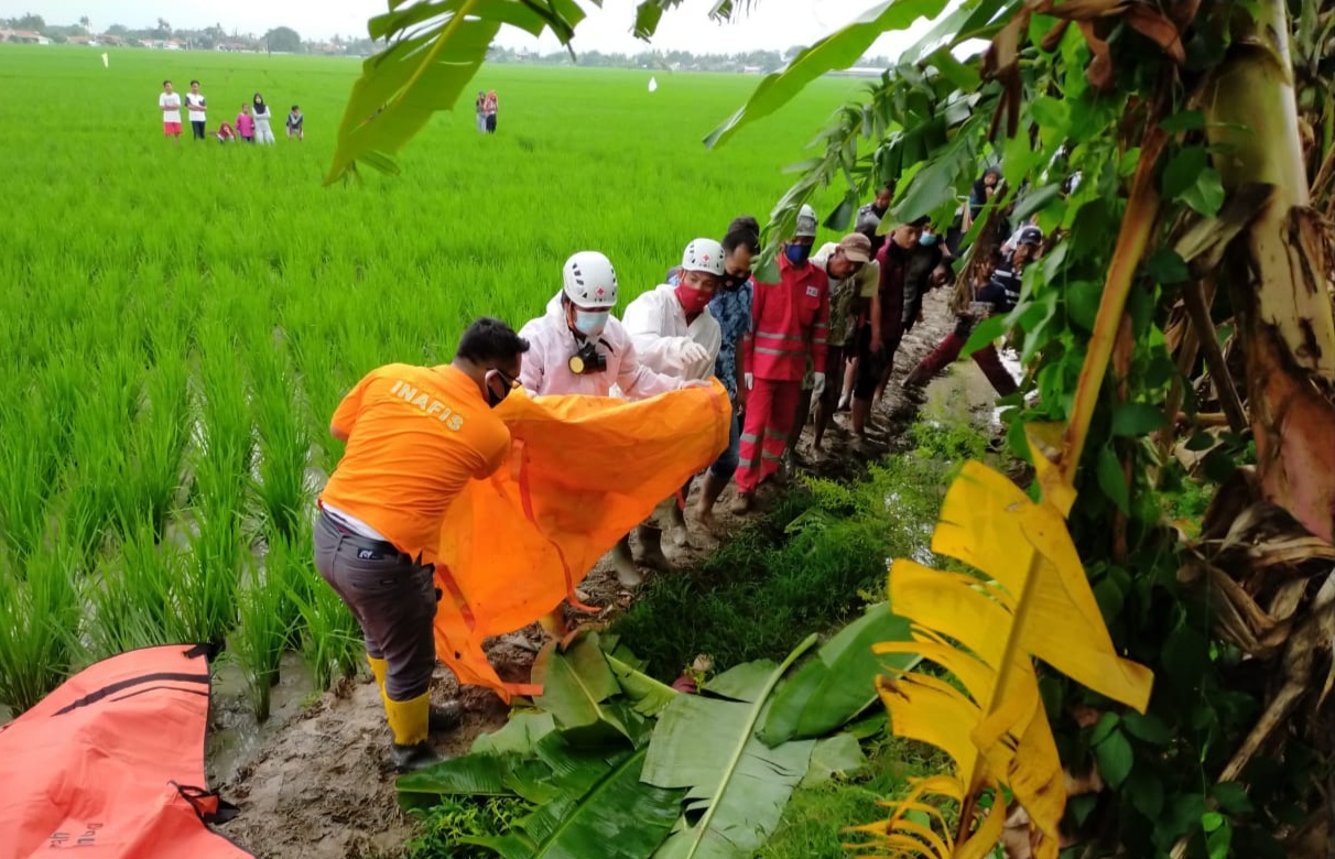 Terungkap! Mayat Perempuan Setengah Bugil di Sawah Ternyata Siswi SMP Korban Pemerkosaan