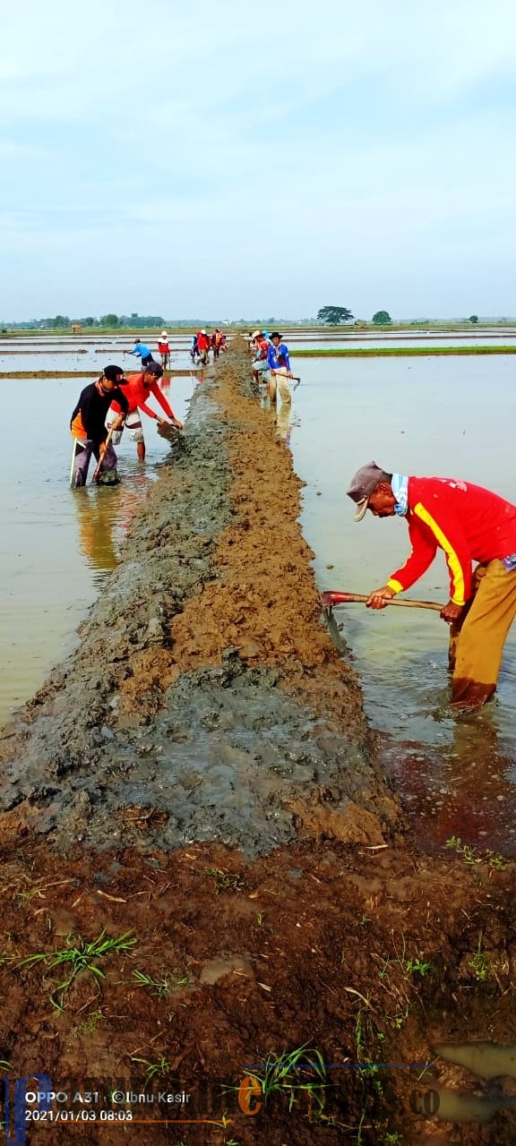 Pemerintah Desa Jatireja Kecamatan Compreng