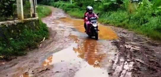 Kepala Dispemdes Kabupaten Subang