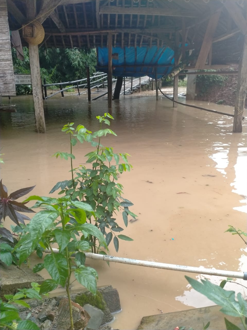 Jembatan Gantung Penghubung Dua Kecamatan Ambruk