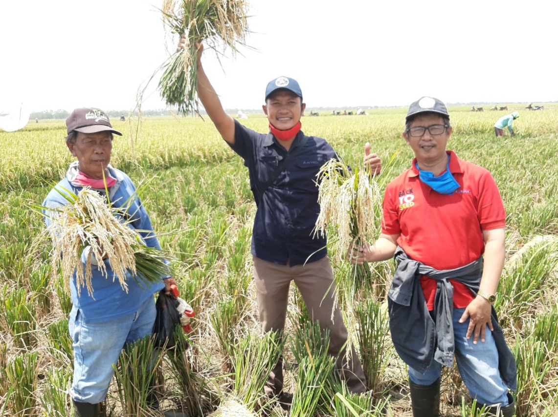 Program Makmur, Petani Panen Melimpah