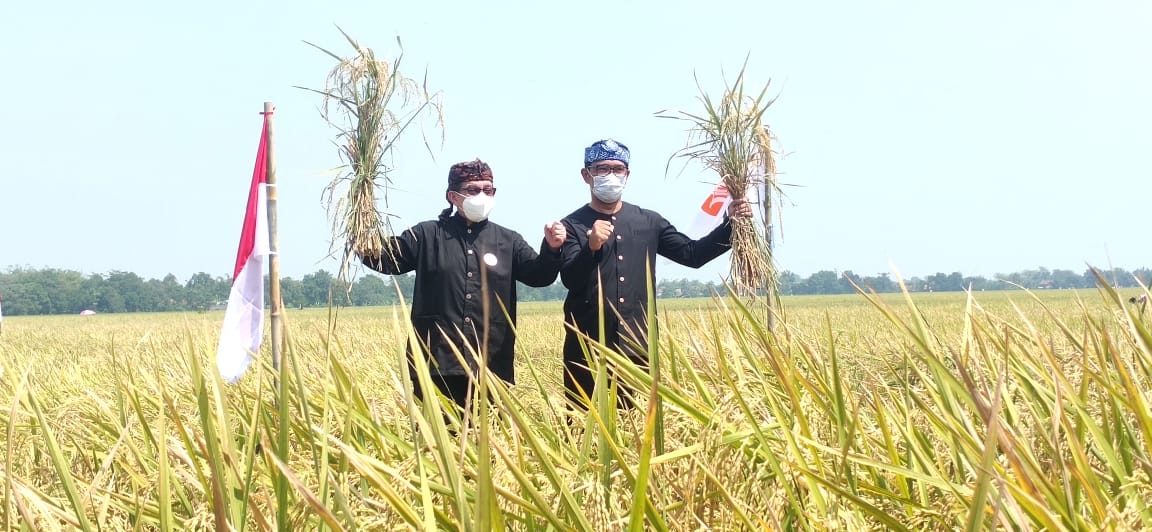 Gerakan Petani Milenial