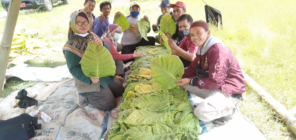 Potensi Besar, DKUPP Dorong Perkembangan Industri Tembakau