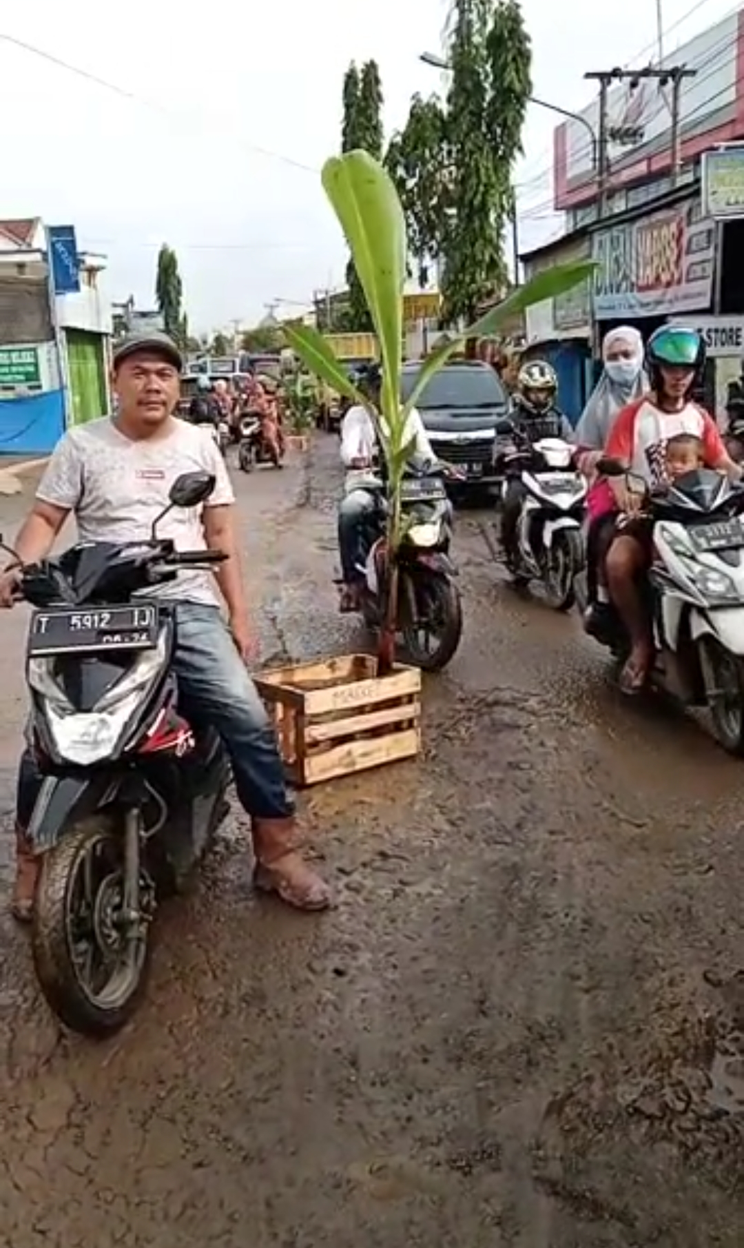 Tuntut Perbaikan Jalur Provinsi, Warga Bunder Tanam Pisang di Jalan