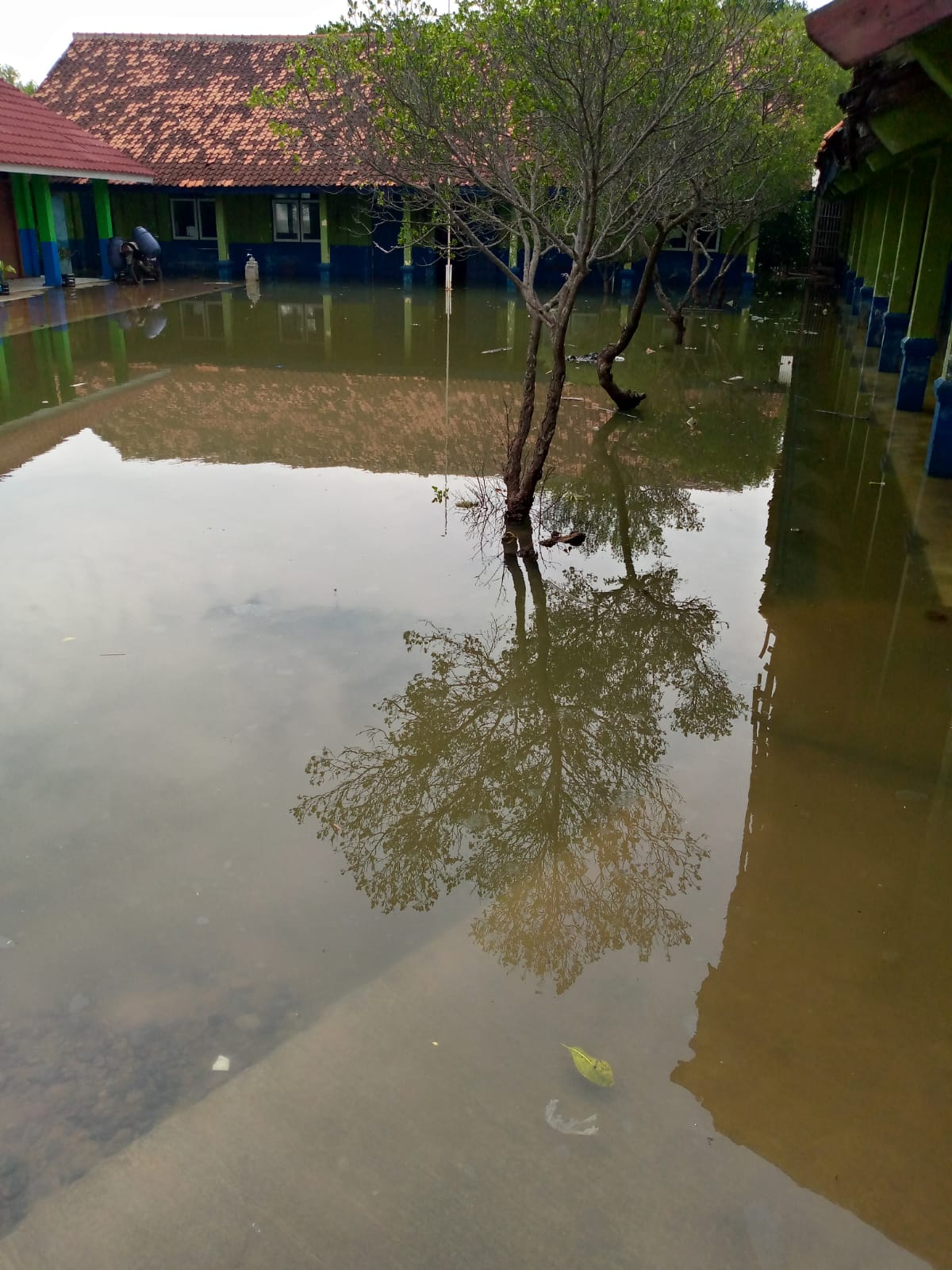 Dua SD di Pantura Langganan Terendam Air Laut, Perlu Peninggian Bangunan Sekolah