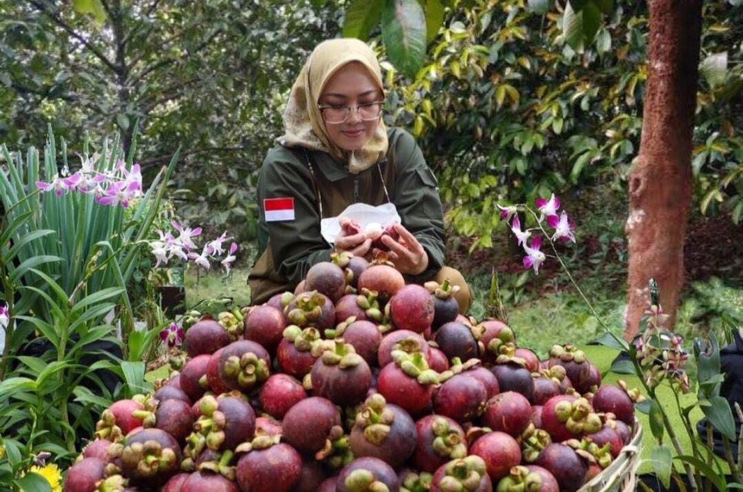 Tumbuh 1,35 persen, Sektor Pertanian Jadi Andalan Hadapi Masa Pandemi