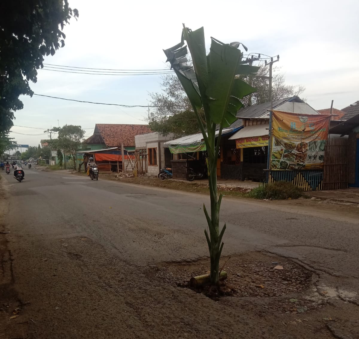 Warga Tanam Pohon Dijalan Cilamaya-Cikampek