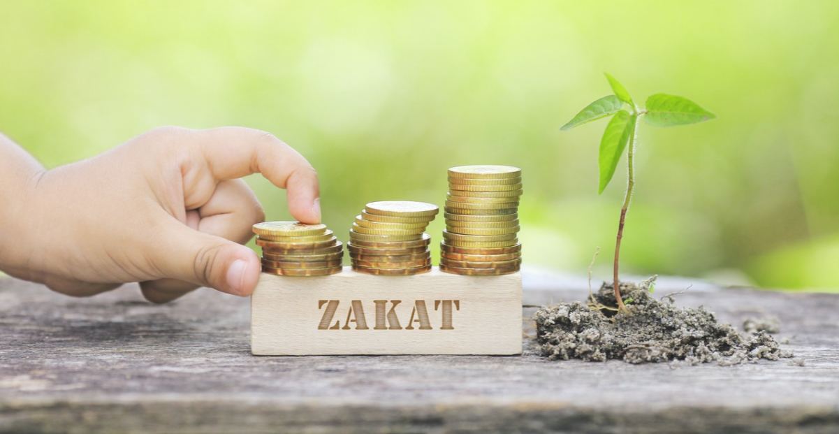 Moderasi, Diksi Sesat Mengintai Zakat