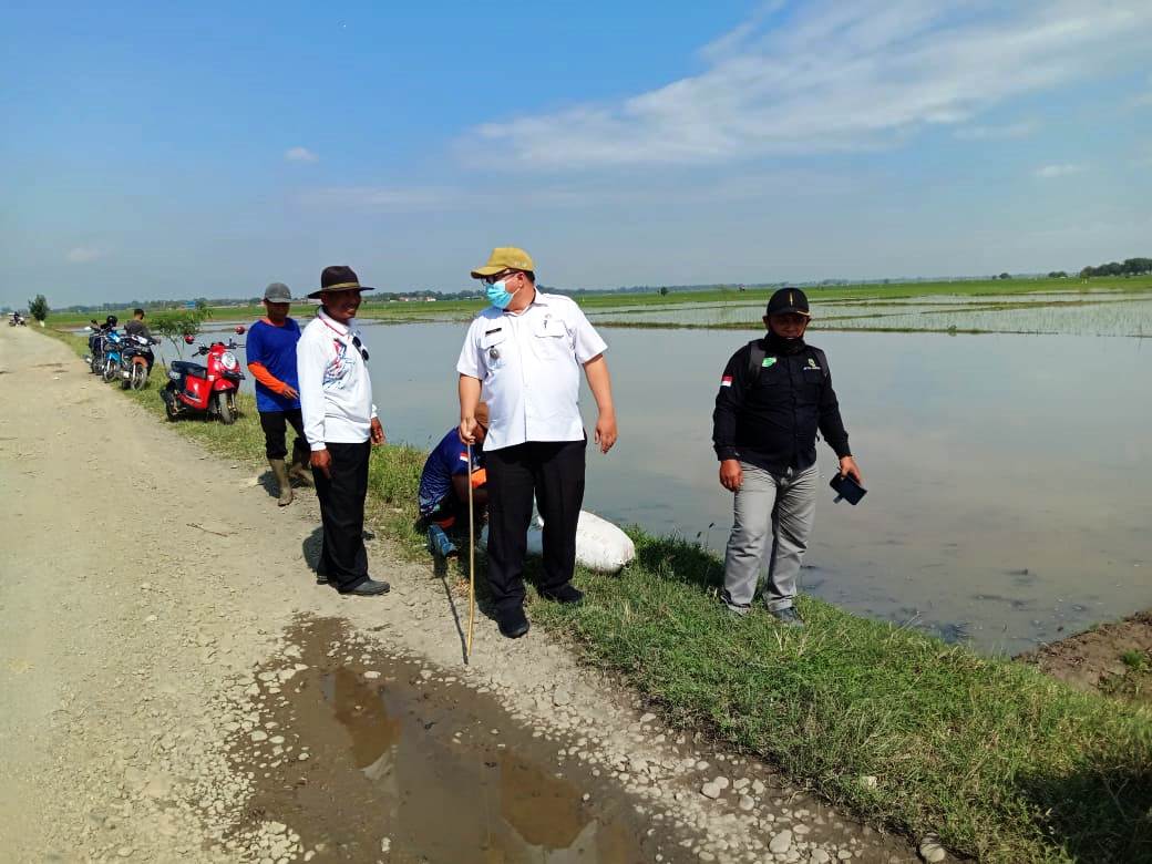 BASMI HAMA: Camat Pusakajaya Drs Vino Subriadi bersama Kepala Desa dan warga di Desa Bojongjaya saat melakukan kegiatan penanganan hama tikus. YOGI MIFTAHUL FAHMI/PASUNDAN EKSPRES