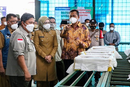 LEPAS EKSPOR: Bupati Purwakarta Anne Ratna Mustika saat berbincang dengan Direktorat Jenderal Hortikultura Kementerian Pertanian Republik Indonesia Prihasto Setyanto pada saat pelepasan ekspor manggis ke Tiongkok. ADAM SUMARTO/PASUNDAN EKSPRES