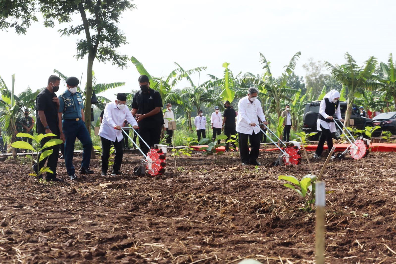 Bupati Purwakarta Ajukan 300 Hektar Lahan Tidur Digarap Petani