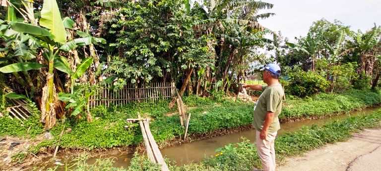 TKP: Ketua RW setempat, Yayat menunjukan tempat kejadian perkara pemerkosaan seorang disabilitas oleh pelaku A di balik pohon pisang. JABAR EKSPRES