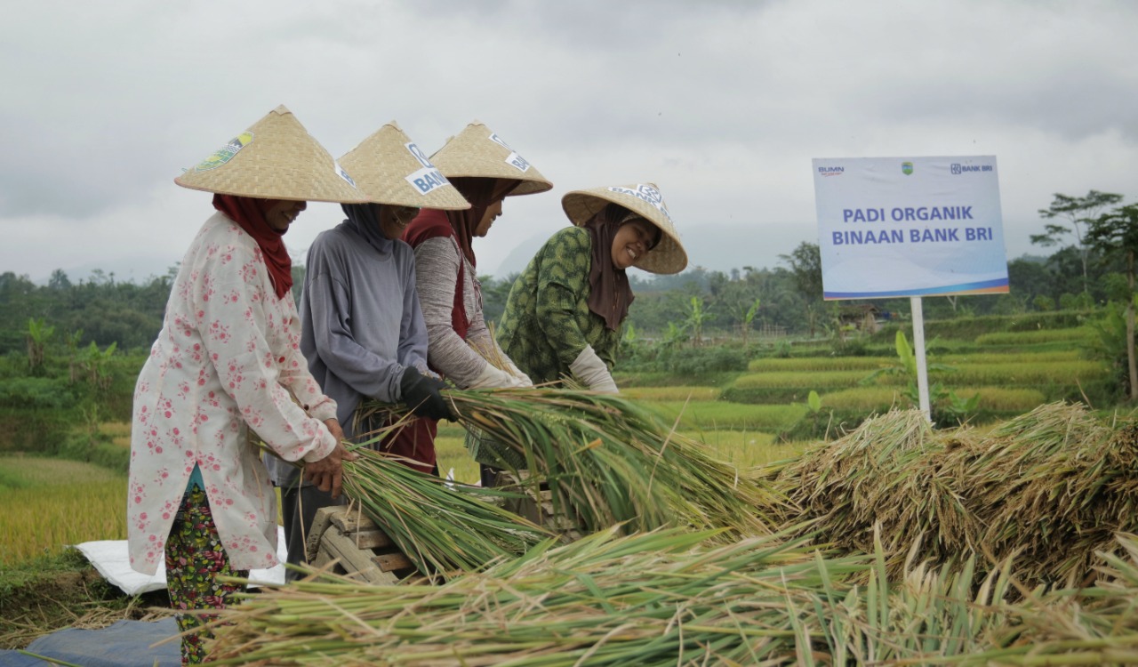 Pembiayaan Ultra Mikro Selamatkan Petani dari Jeratan Renternir  