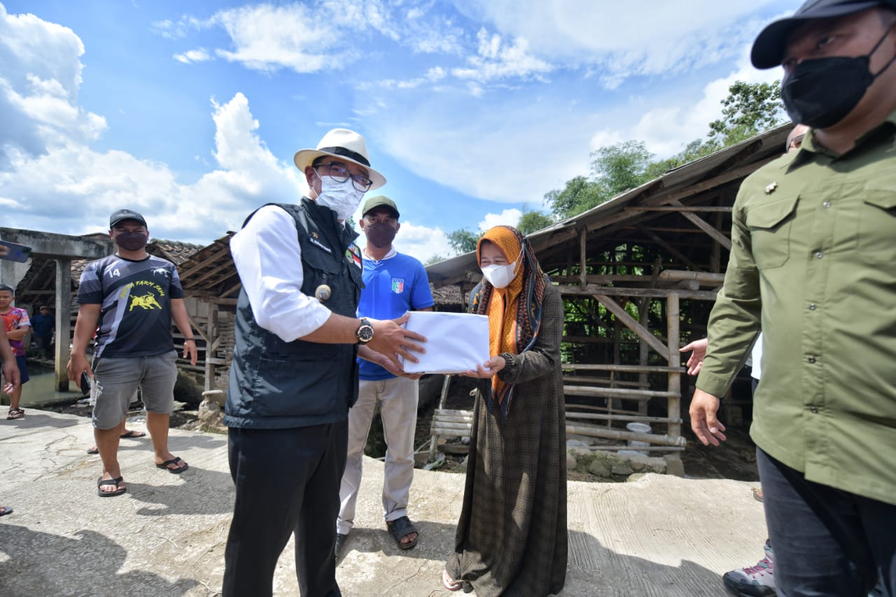 Ridwan Kamil Imbau Semua Daerah di Jawa Barat Tingkatkan Pengawasan Lalu Lintas Ternak