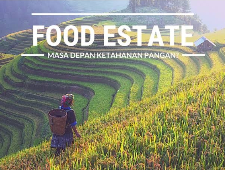 Agar Food Estate Berhasil, Koordinasi Perlu Ditingkatkan