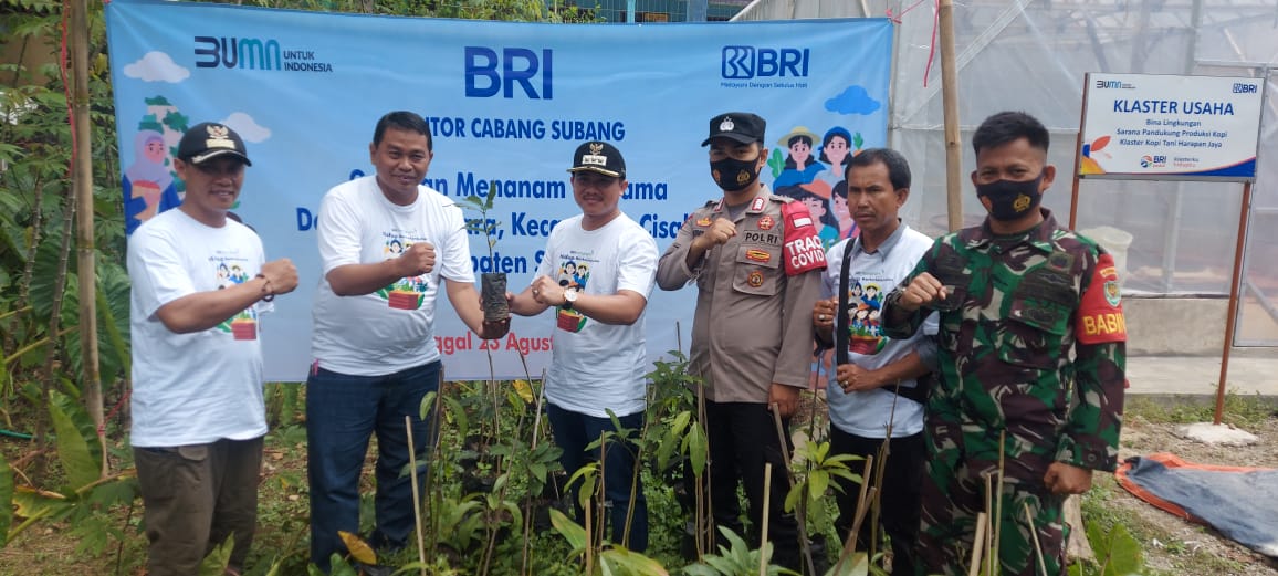 BRI Menanam: 450 Bibit Kopi Ditanam di Desa Cupunagara