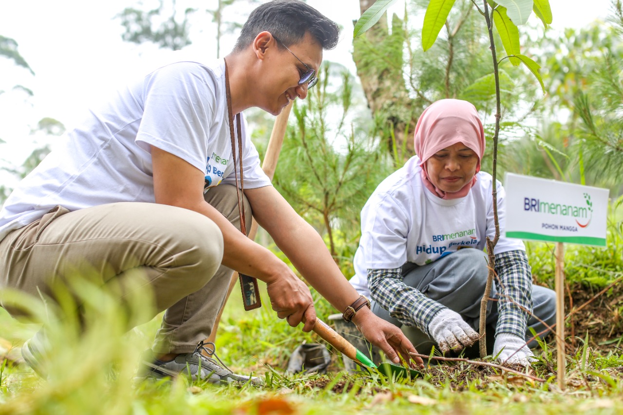 Lingkungan Lebih Hijau & Malah Jadi Cuan, Nasabah Ungkap Manfaat ‘BRI Menanam’