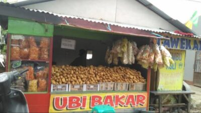 Enak!! Ini Cara Mudah buat, Ubi Bakar Cilembu