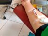 Manfaat Donor via Dokumentasi Pribadi Putri Melania