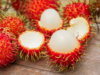 Photo Buah Rambutan captured via TasteAtlas