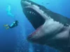 Kenalan dengan si Penguasa Lautan, Hiu Megalodon (Sumber Foto: All That's Interesting)