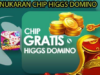 Kode Redeem Higgs Domino Terbaru