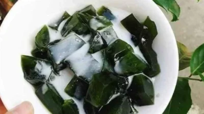 Bikin Cincau Hijau. Sumber Foto via Alibaba