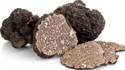 Mencoba Truffle, Aroma Khas Jamur Legendaris dalam Dunia Kuliner. Sumber Foto via Man of Many