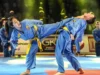 Olahraga Vovinam. Sumber Foto via MJC Théâtre des 3 Vallées