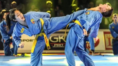 Olahraga Vovinam. Sumber Foto via MJC Théâtre des 3 Vallées