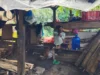 Cara Membuat Gula Aren Asli Secara Tradisional