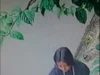 Maling Jemuran Tertangkap CCTV