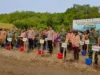 Antisipasi Abrasi, Pemerintah Daerah Bersama TNI - Polri Tanam Ribuan Mangrove di Pesisir Pondok Bali