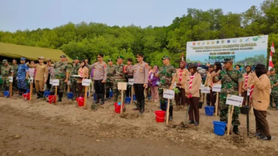 Antisipasi Abrasi, Pemerintah Daerah Bersama TNI - Polri Tanam Ribuan Mangrove di Pesisir Pondok Bali